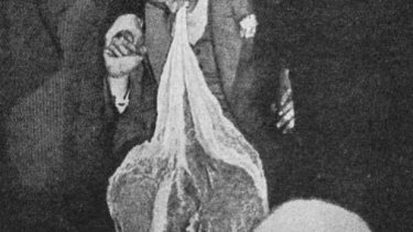Mediet Einer Nielsen i 1930