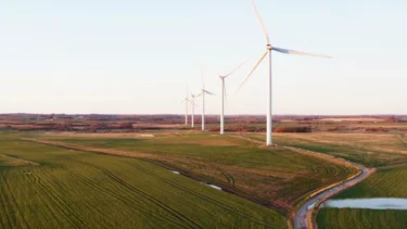 Flere store vindmøller står på rad og række på et åbent landbrugsland, hvor man kan se grønne marker og en snoet vej under en klar himmel ved solnedgang.