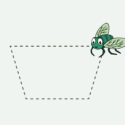 Illustration af en flue, der flyver i et firkantet mønster