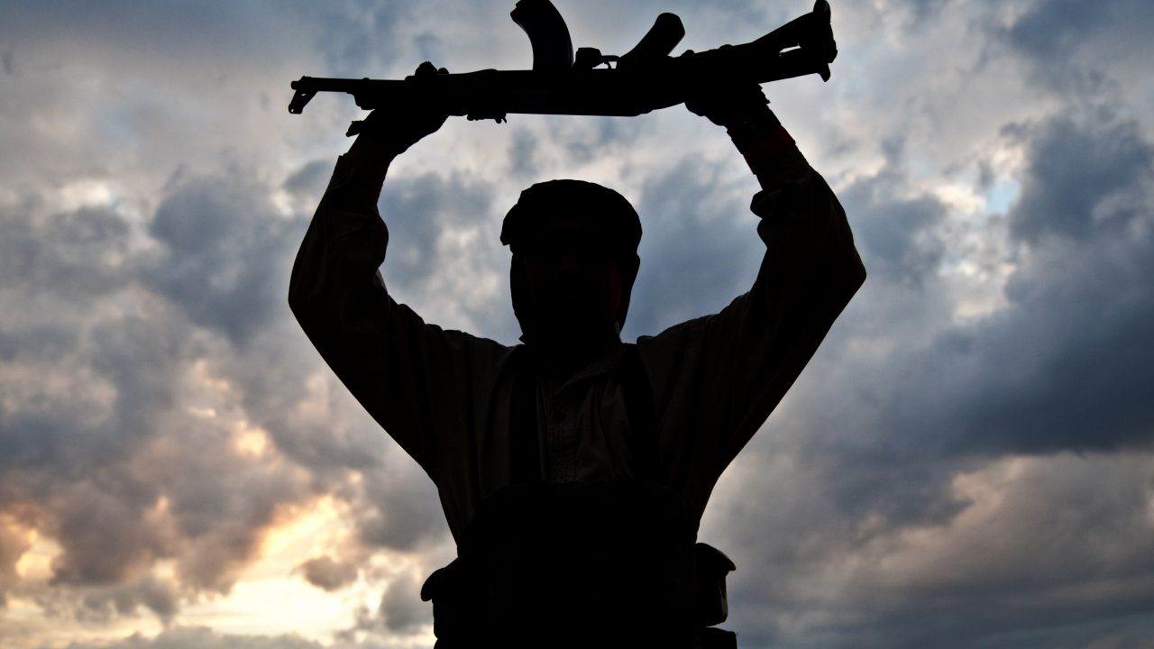 frihedskamp frihedskæmper terrorist Wikipedia krig