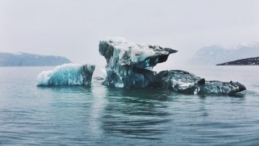 Isbjerg naturhistorie Grønland