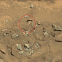 Mars fossil thigh femur bone