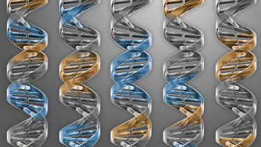 DNA