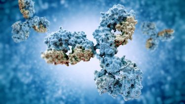 Antistoffer pabmab