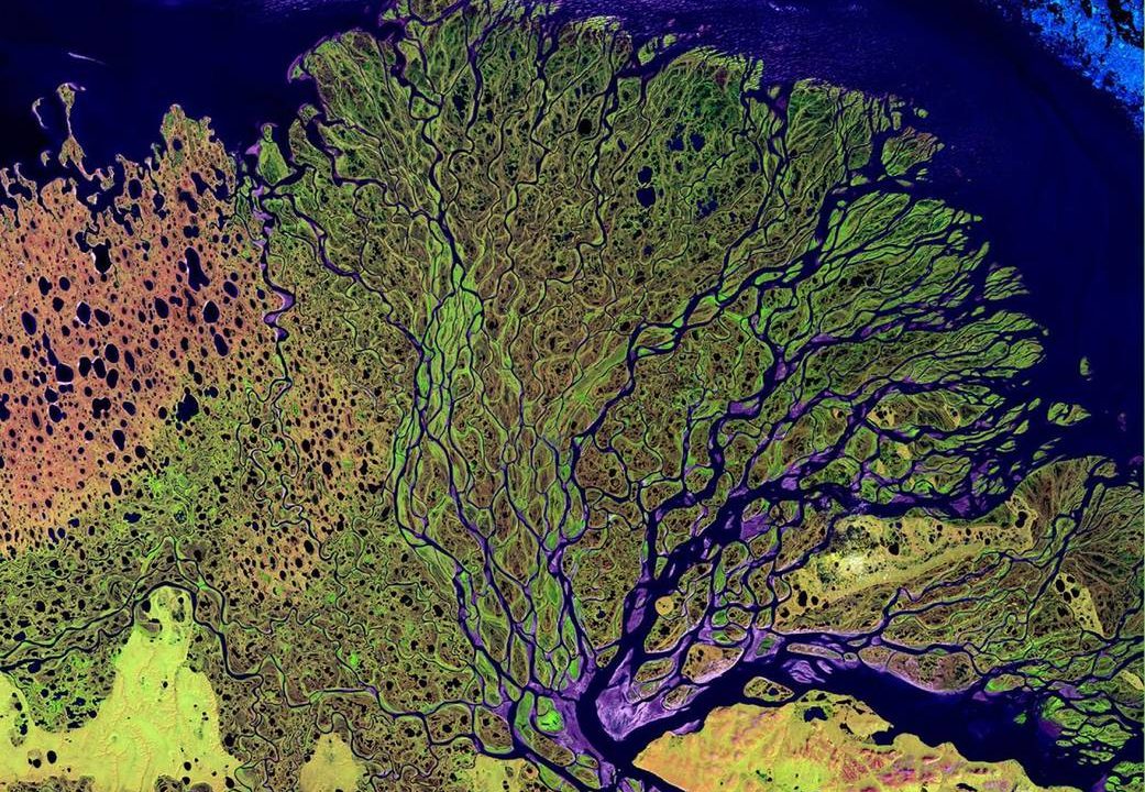 Havcirkulation klima havstrømme humus organisk materiale DTU Grønland Sibirien havis afsmeltning gletsjer