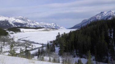Fossilt DNA afliver teori om koloniseringen af Amerika