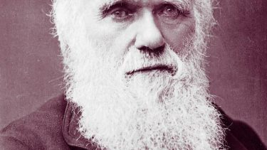 charles darwin dyreforsøg dyrevelfærd forsøg videnskab blog