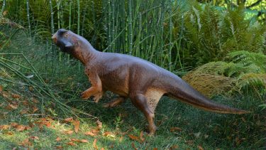 papegøje-dinoen Psittacosauren rekonstruktion farver miljø omgivelser mønstre signaturer