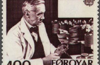 penicillin forsøg dyr videnskab.dk blog