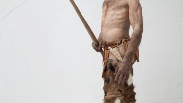 ötzi fortidsmenneske evolution fortid fortidsmennesker