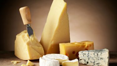 ost_cheese_fed_kost_sund