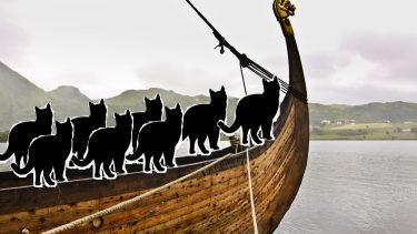 vikinge skib