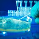 bakterier antibiotikaresistens proteiner dna rna transportproteiner