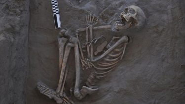 mand død ved boomerang arkæologi forskere gammel historisk aboriginer