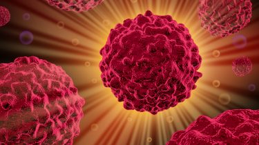 Immunterapi celle lys kræft kræftcelle