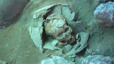 Fossilt DNA polynesien stillehavet søfarere lapita-kulturen lapita-folket menneskets spredning