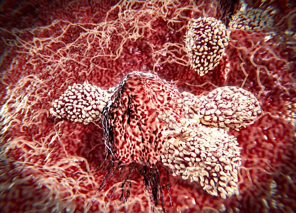 kræft immunterapi