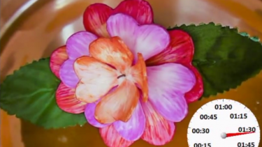 Syntetisk blomst ændrer form uden lys mekanisme