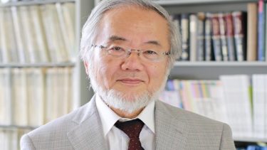 Nobelpris medicin 2016 Yoshinori Ōsumi, Honorary Professor of Tokyo Institute of Technology