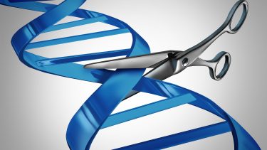 crispr forskning sygdom behandling blog videnskab
