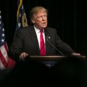 trump magt forskning