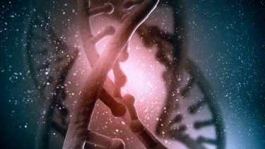 genetik_gener_dna_billede_af_sine_gener_er_det_relevant_modstridende_svar