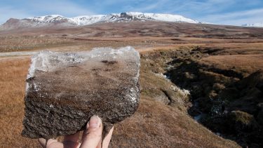Jordbund Arktis subarktiske opvarmning mikrober planter CO2 afgive optage fotosyntese respiration permafrost klimaforanringer boreal skov drivhus atmosfæren