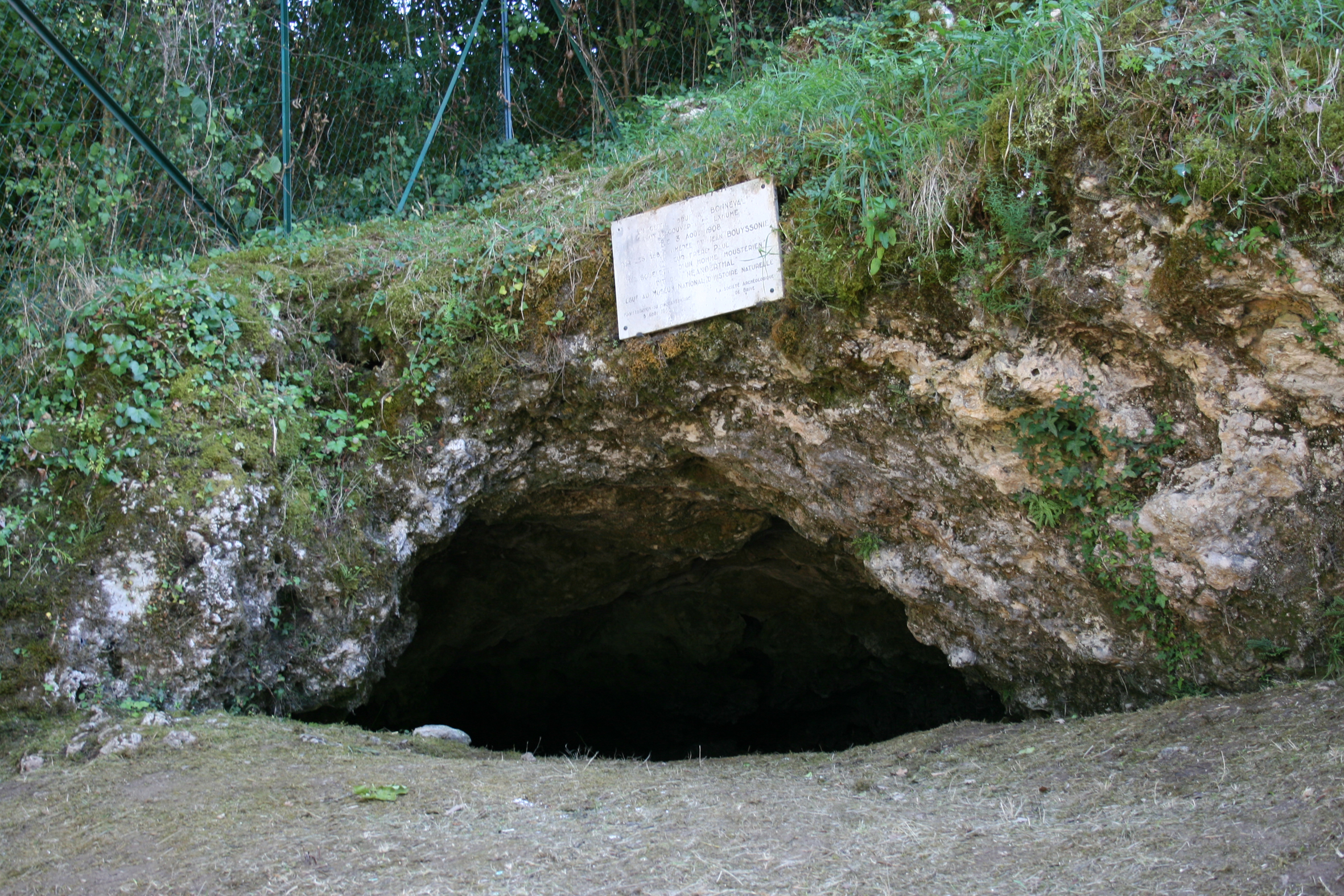 Huler La Chapelle-aux-Saints neandertalere