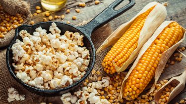 Majs genom Mexico popcorn afgrøde dyrkning spredning teosint