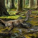 mudder drage dinosaur kina