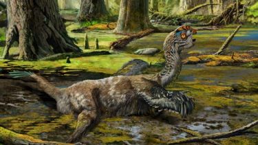 mudder drage dinosaur kina