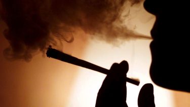 hashrygning, hash, cannabis, lovgivning, politikere, Folketinget, afkriminalisering, legalisering, joint, udsatte unge