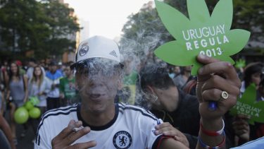Legalisering, hash, Uruguay, lovgivning, misbrug, cannabis