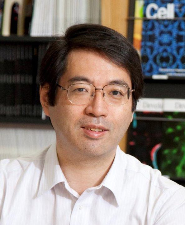 yoshiki_sasai_videnskabelig_uredelighed_fusk_stamceller_forskning_genmanipulation