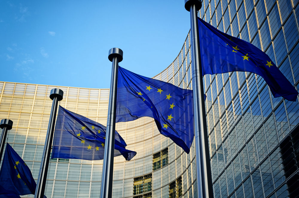 eu-systemet_eu_retssystem_retsstat_bruxelles_boernechecken