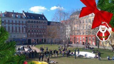 Juleønske migrationsforsker træ i folkets park