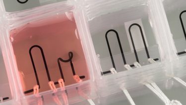 3D-printet hjertechip