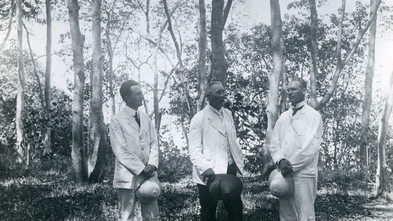 Dansk Vestindien Johannes Schmidt salget 1917 ål Galathea havforsker Neergaard De Danske Atlanterhavsøer