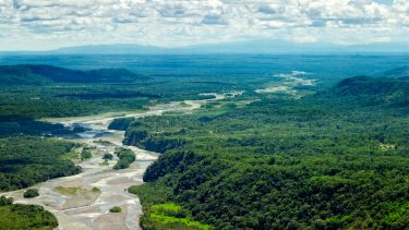 Amazonas, regnskov