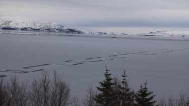 thingvallavatn mystiske mønstre spor sø naturfænomen