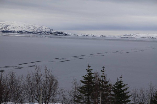 thingvallavatn mystiske mønstre spor sø naturfænomen