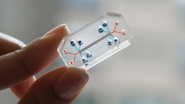 lægemiddelforskning medicin forsøg forsøgsdyr organs-on-a-chip organer lunge nyrer udvikling klinisk forsøg afprøvning personlig medicin genetisk teknologi menenskeorganer cellekultur biochip behandlingsmuligheder