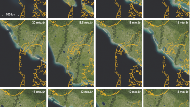 sand geologi danmark undergrund 25 millioner år krokodiller hajer