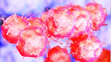 stamceller blod immunsystem genterapi sygdomme regenerativ medicin