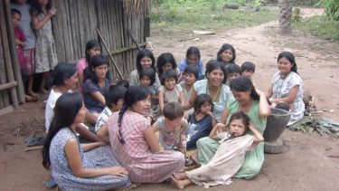 Tsimanefolket Amazonas Bolivia sundhed åreforkalkning