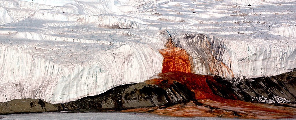 Mystiske blodrøde vandfald antarktis mysterium løst