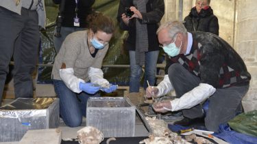 Rollo viking vikingehøvding Normandiet DNA skelet Explico