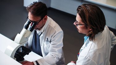 patrick-og-mikkel-bakterier-indkapsling-pneumonia streptokokker sygdom