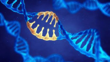 crispr dna gener arvemasse teknologi etisk dilemma supermennesker sygdomme genetik