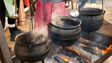 Vin vikinger vikingetiden vindruekerner